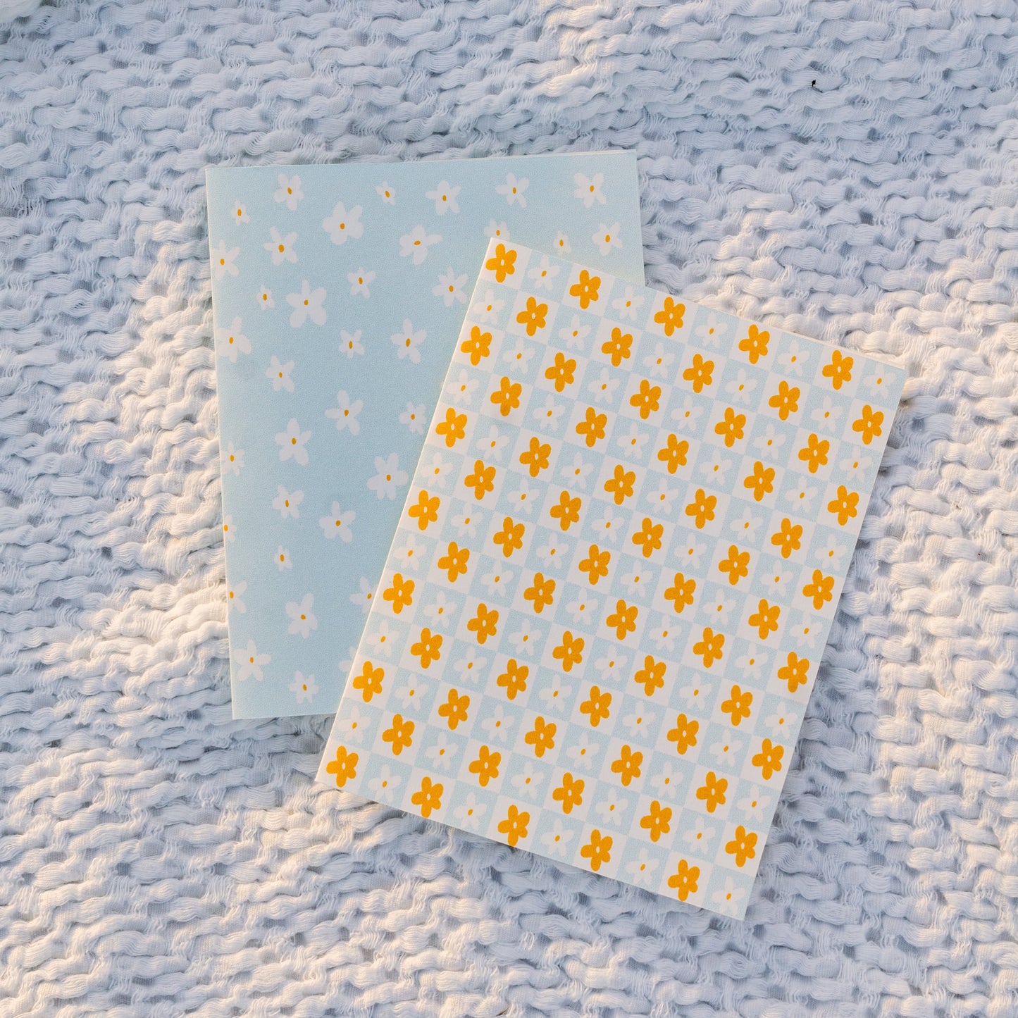 daisies in bloom! blue greeting card