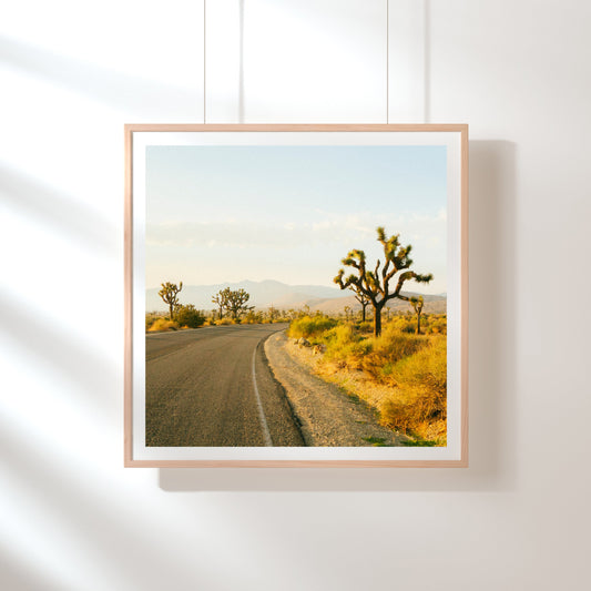 open road in joshua tree print